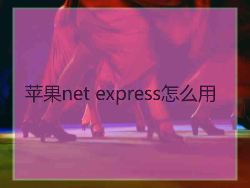 苹果net express怎么用