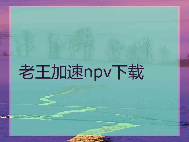 老王加速npv下载