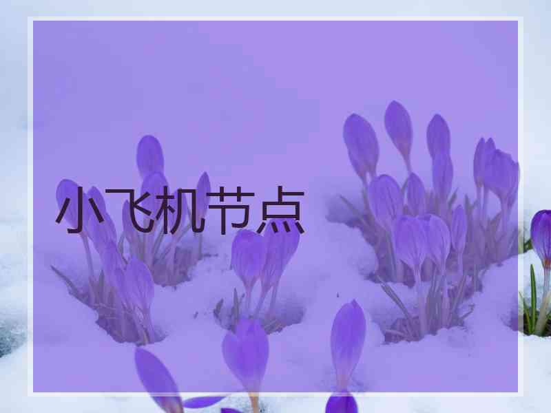 小飞机节点