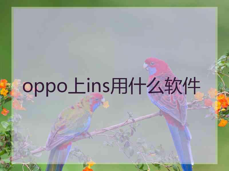 oppo上ins用什么软件