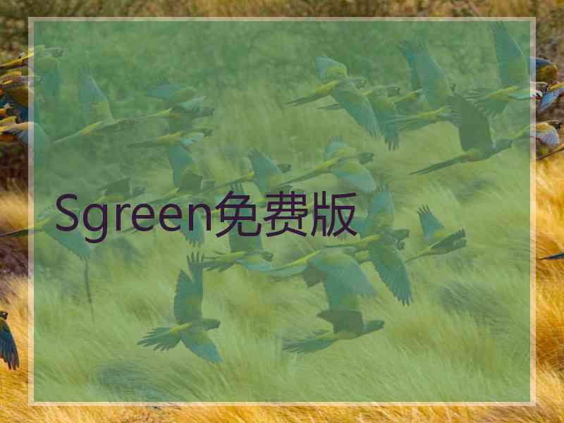 Sgreen免费版