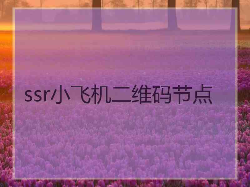 ssr小飞机二维码节点