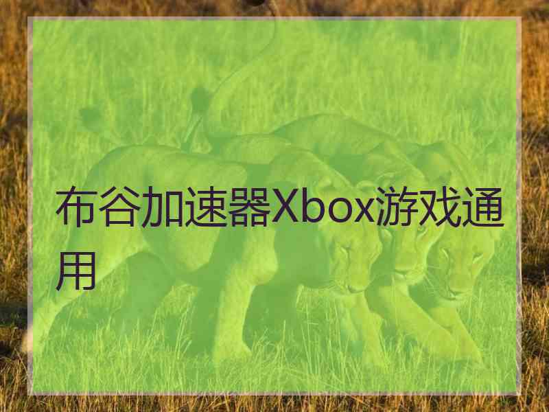 布谷加速器Xbox游戏通用