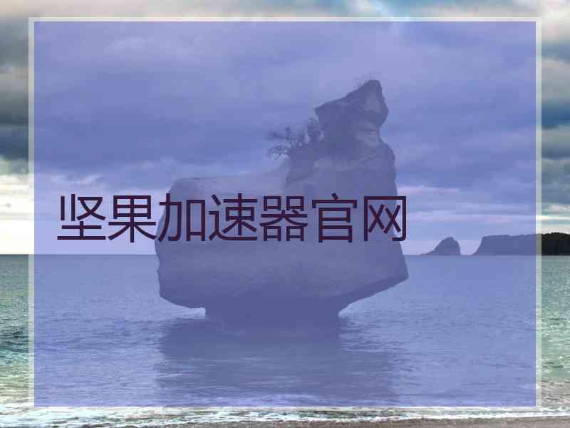 坚果加速器官网