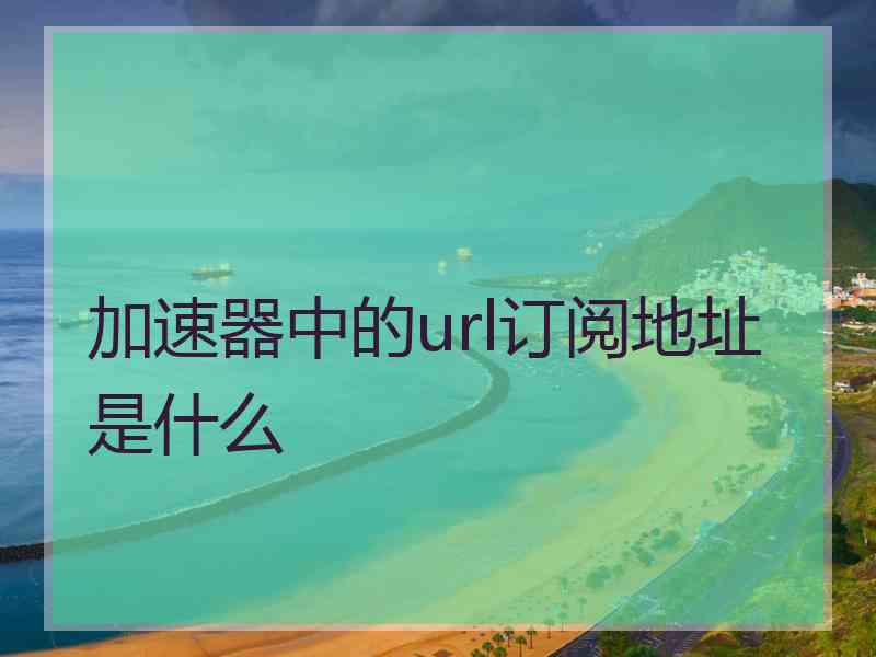 加速器中的url订阅地址是什么