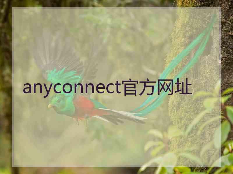 anyconnect官方网址