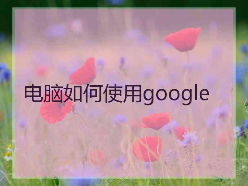 电脑如何使用google