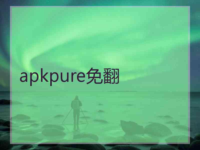 apkpure免翻