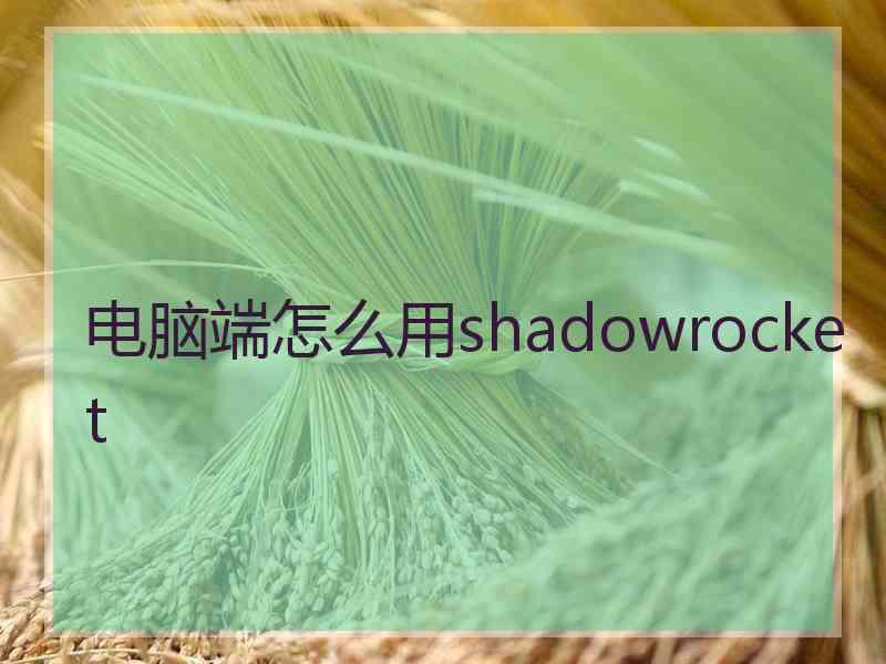 电脑端怎么用shadowrocket