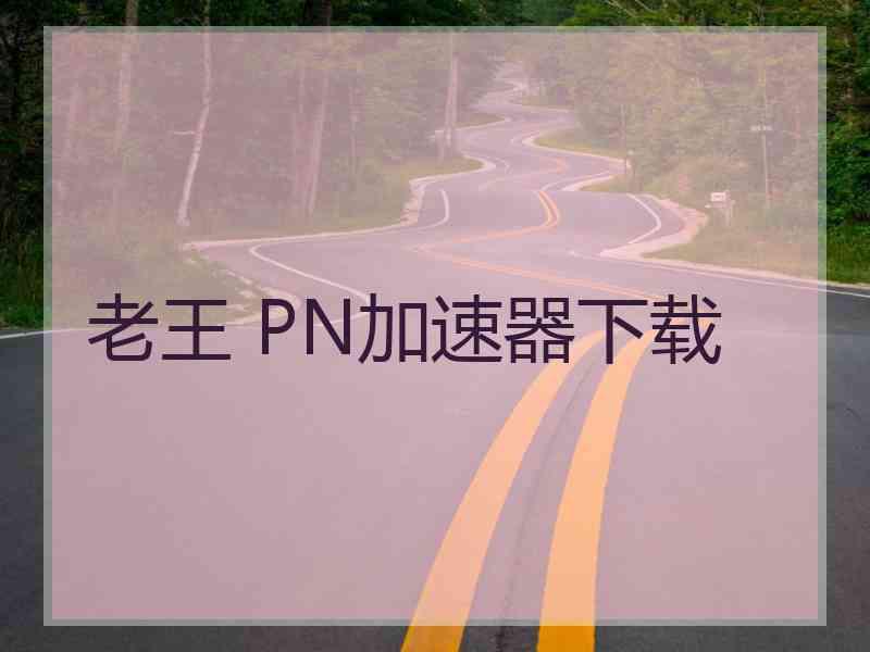 老王 PN加速器下载