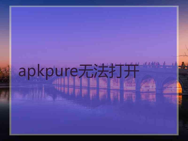 apkpure无法打开