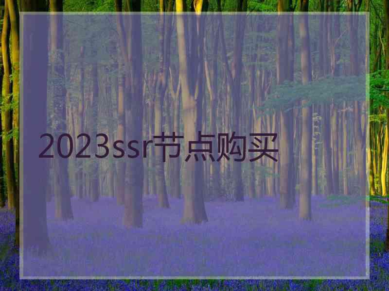 2023ssr节点购买