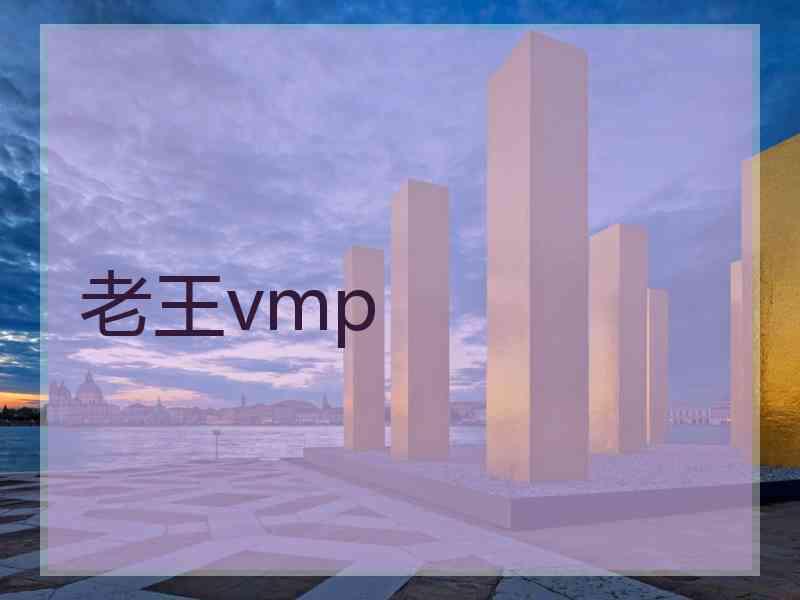 老王vmp