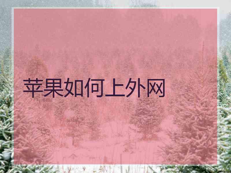 苹果如何上外网