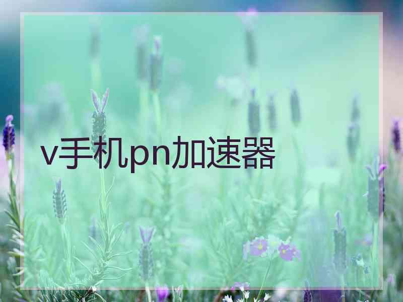 v手机pn加速器