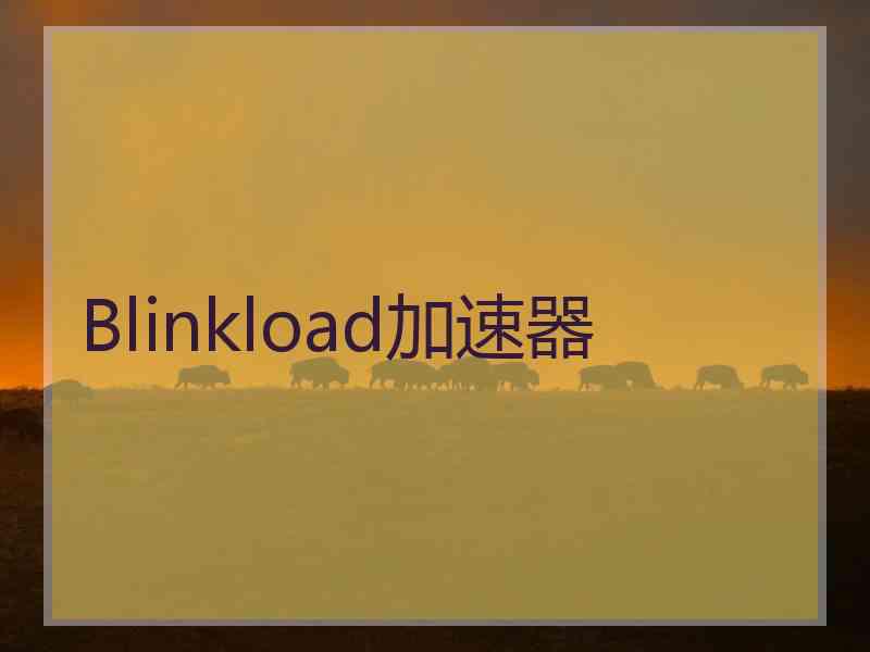 Blinkload加速器