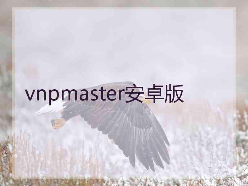 vnpmaster安卓版