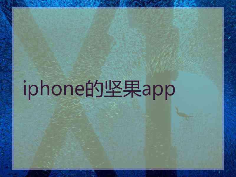 iphone的坚果app