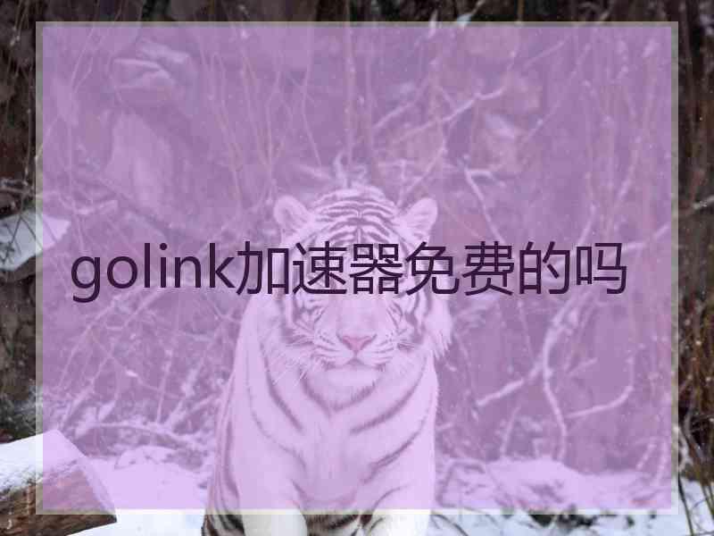 golink加速器免费的吗