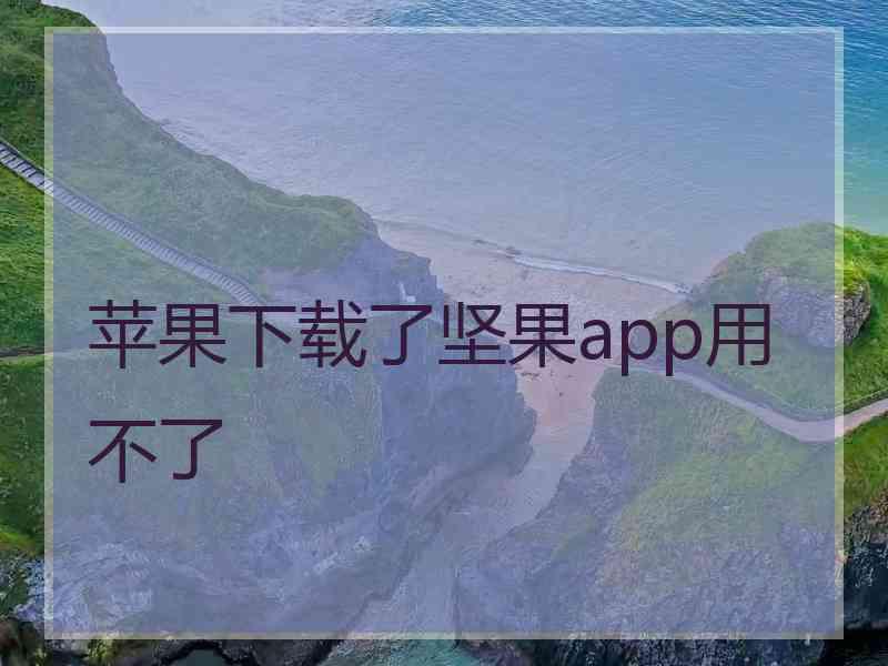 苹果下载了坚果app用不了