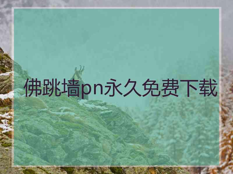 佛跳墙pn永久免费下载