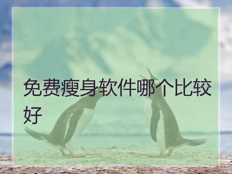 免费瘦身软件哪个比较好