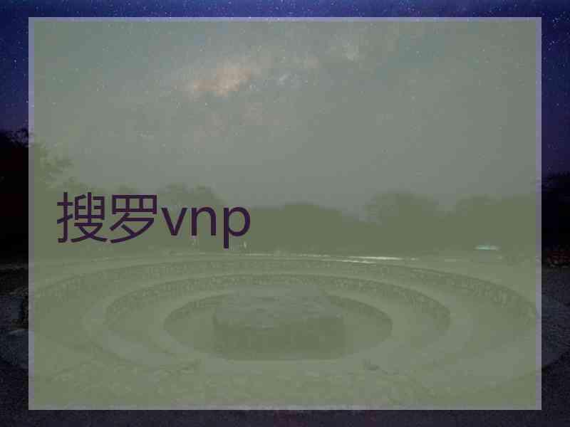 搜罗vnp