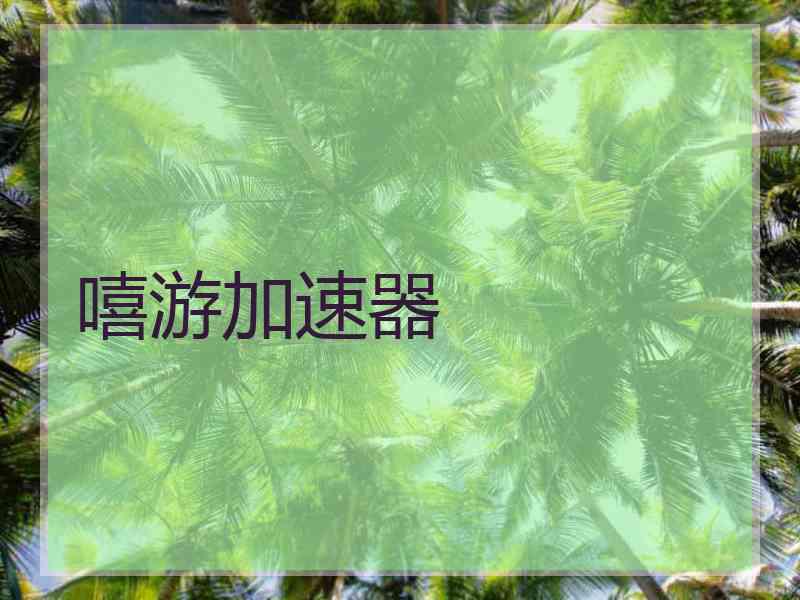 嘻游加速器