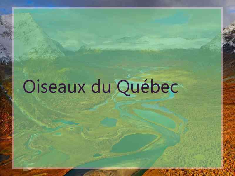 Oiseaux du Québec