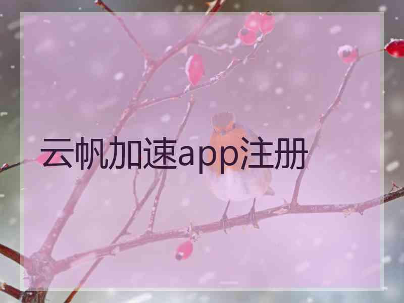 云帆加速app注册