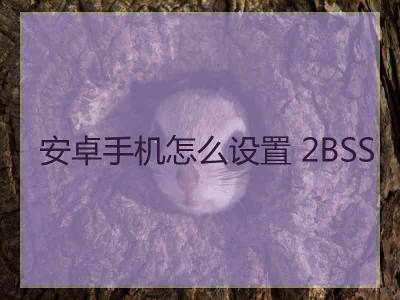 安卓手机怎么设置 2BSS