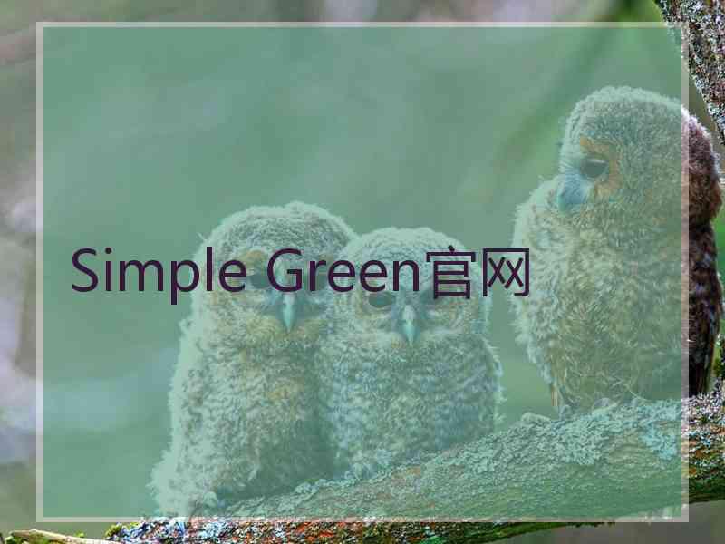 Simple Green官网