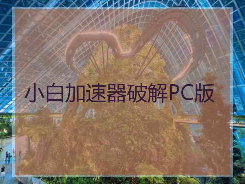 小白加速器破解PC版