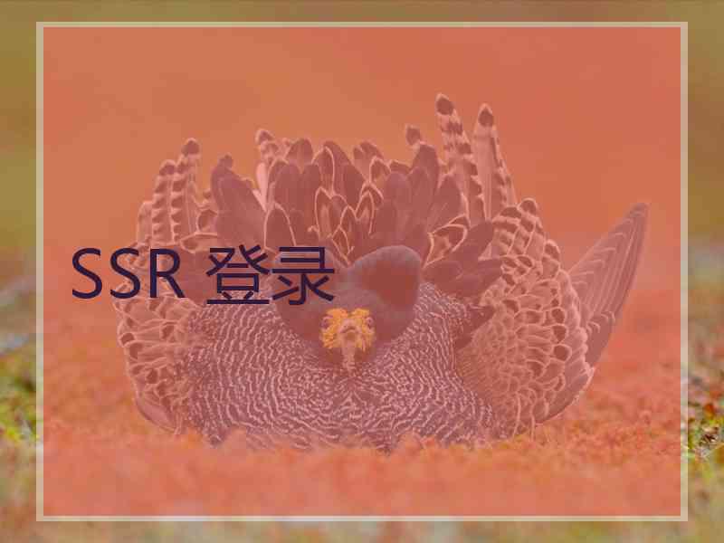 SSR 登录