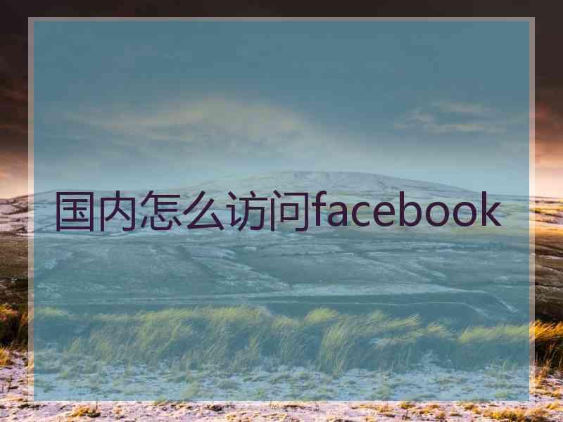 国内怎么访问facebook