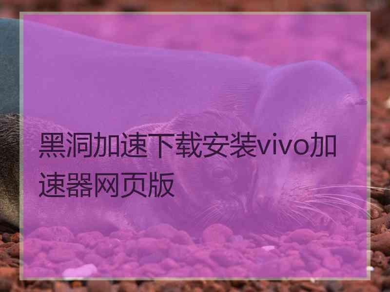 黑洞加速下载安装vivo加速器网页版