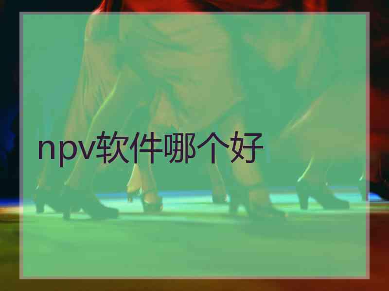 npv软件哪个好