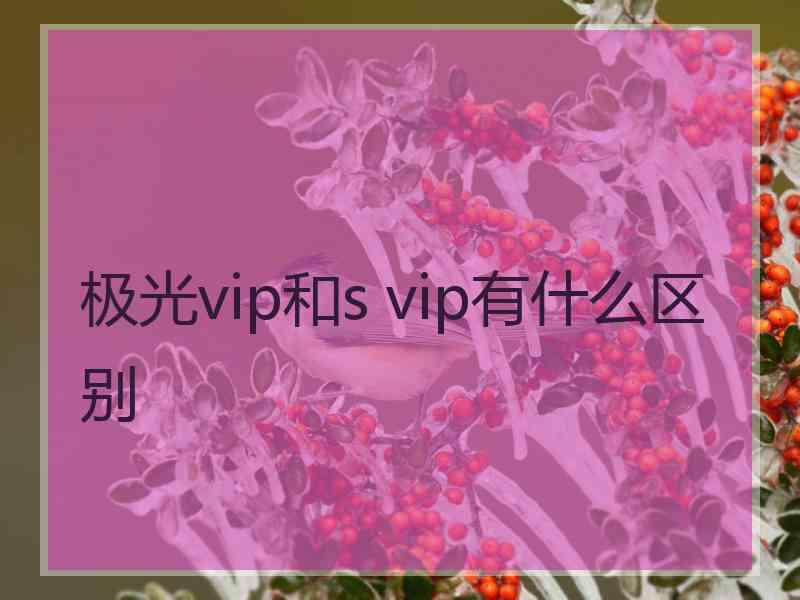 极光vip和s vip有什么区别