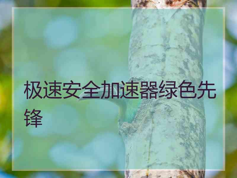 极速安全加速器绿色先锋