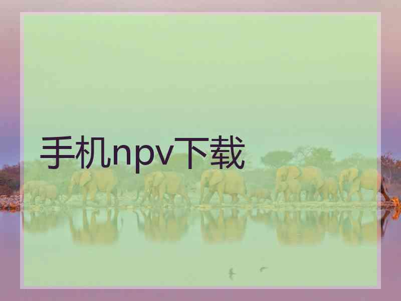 手机npv下载