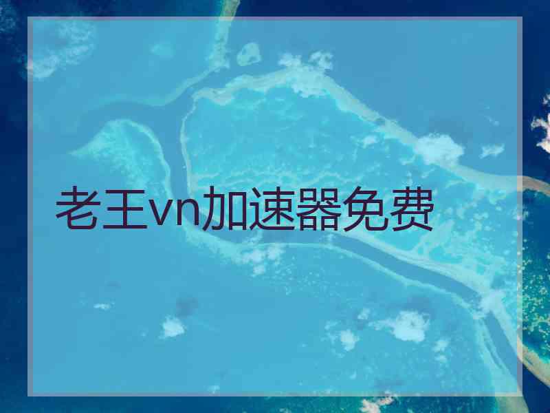 老王vn加速器免费