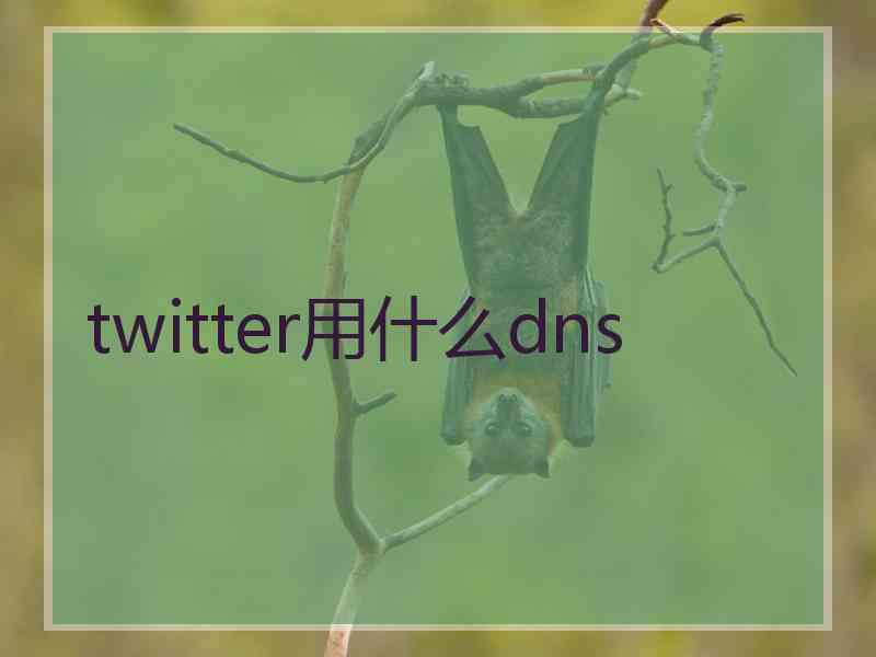 twitter用什么dns