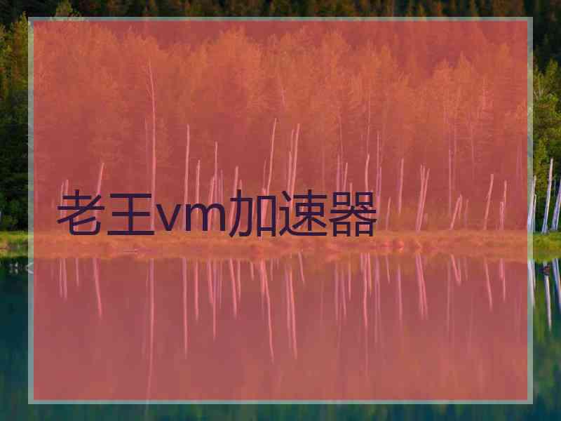 老王vm加速器