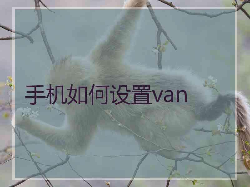 手机如何设置van