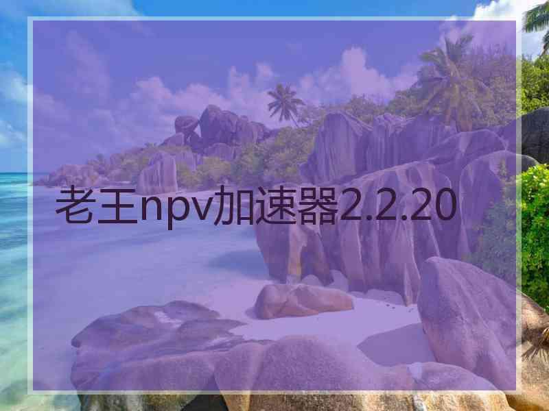 老王npv加速器2.2.20