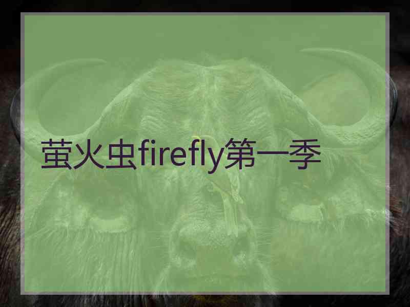 萤火虫firefly第一季