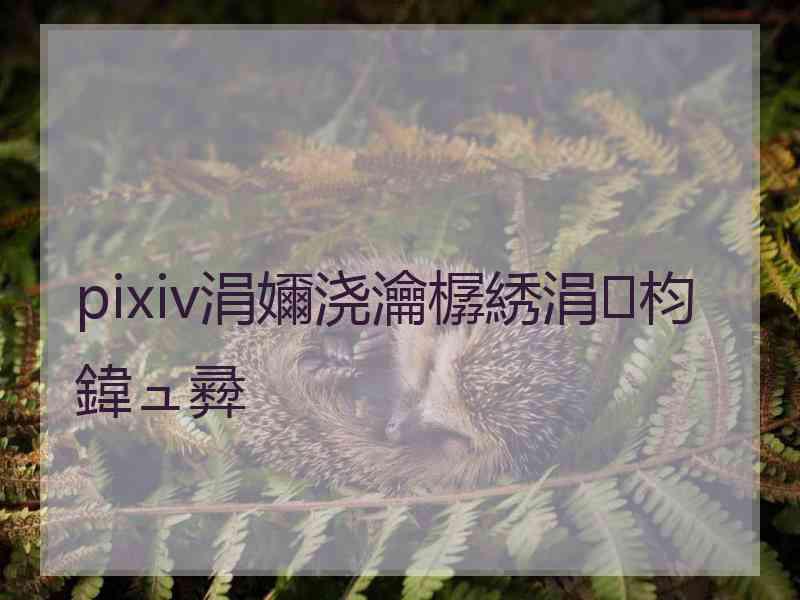 pixiv涓嬭浇瀹樼綉涓枃鍏ュ彛