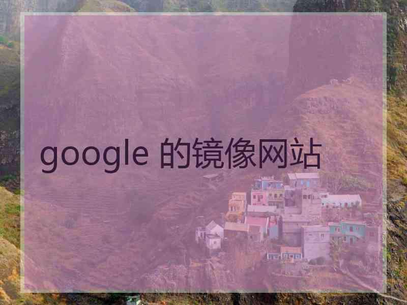 google 的镜像网站