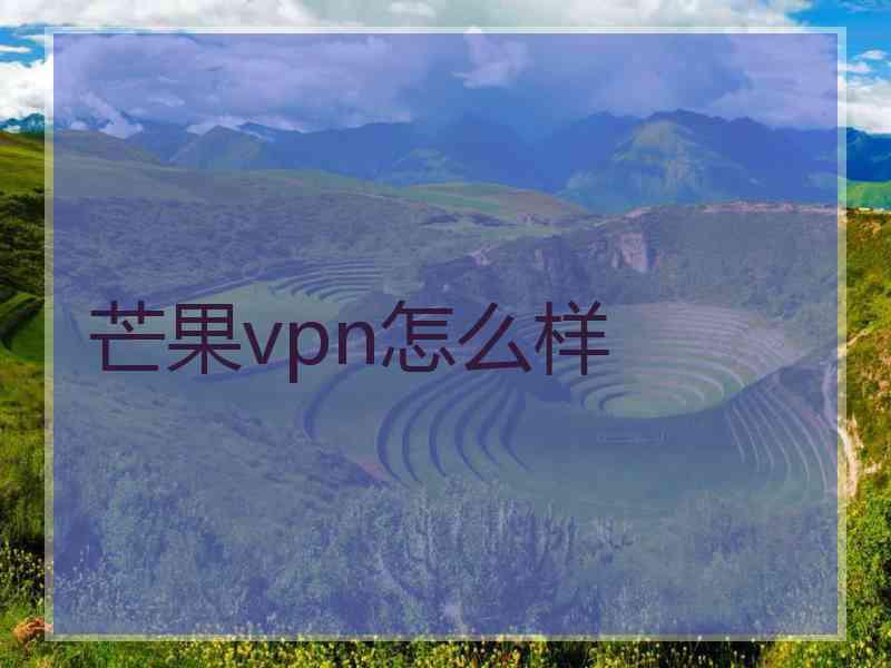 芒果vpn怎么样