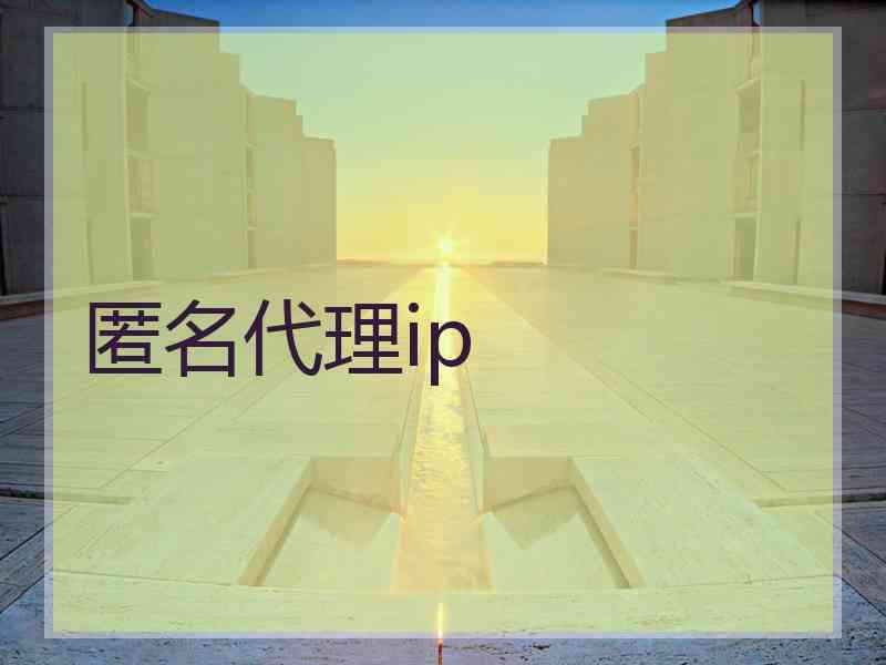 匿名代理ip